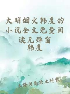 大明烟火韩度的小说全文免费阅读无弹窗