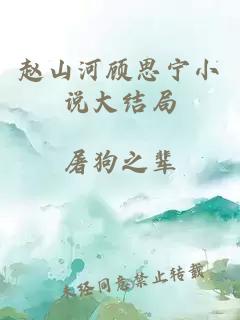 赵山河顾思宁小说大结局